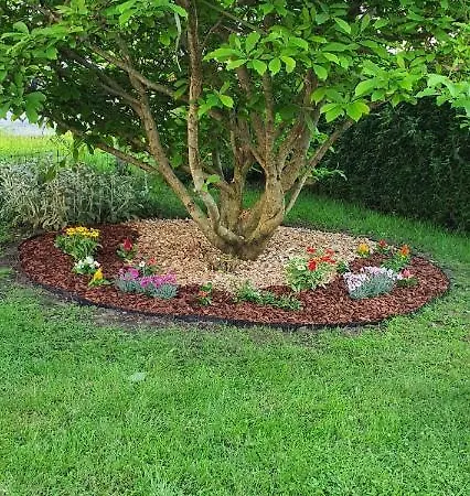 Apartman Hisa Rodica *