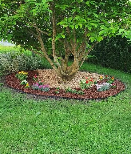 Apartment Hisa Rodica *