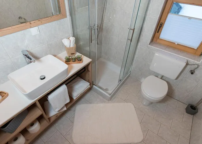 Hisa Rodica Apartment *