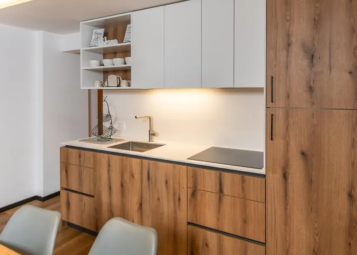 Apartment Hisa Rodica *