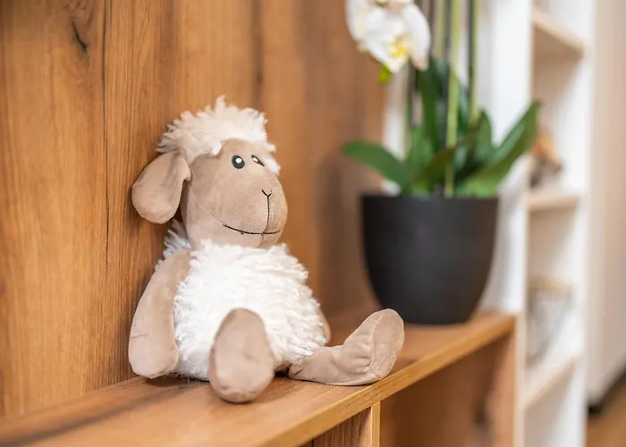 Apartment Hisa Rodica